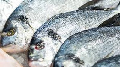 Замороженная рыба