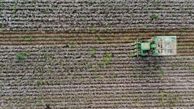 Рекорд первого полугодия по экспорту из сельскохозяйственной группы