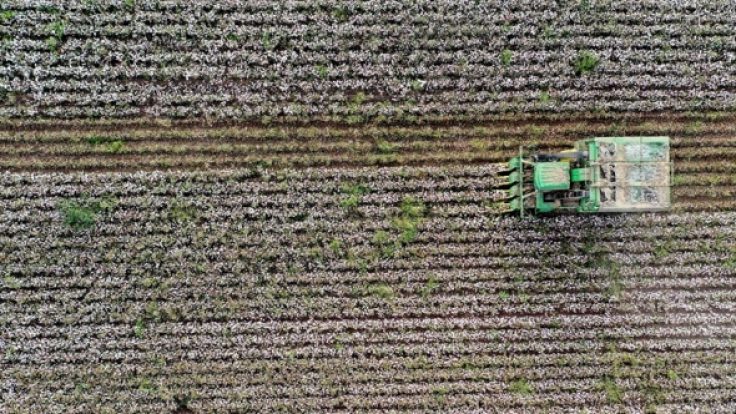 Рекорд первого полугодия по экспорту из сельскохозяйственной группы