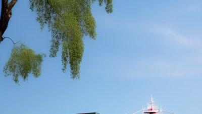 <strong>Государственная помощь, стимулирующая экспорт</strong>